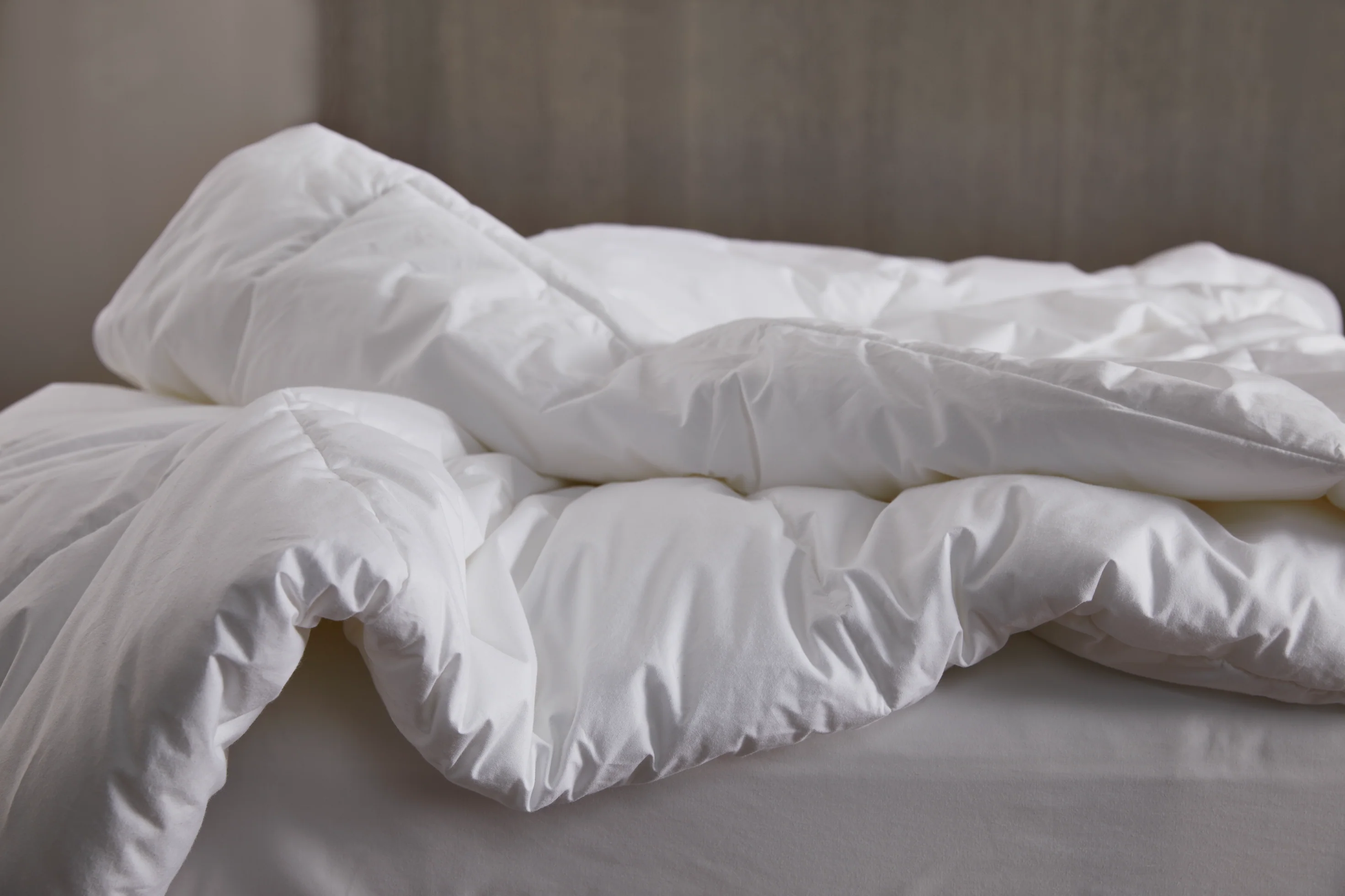 Feather Down Comforter - Image 3